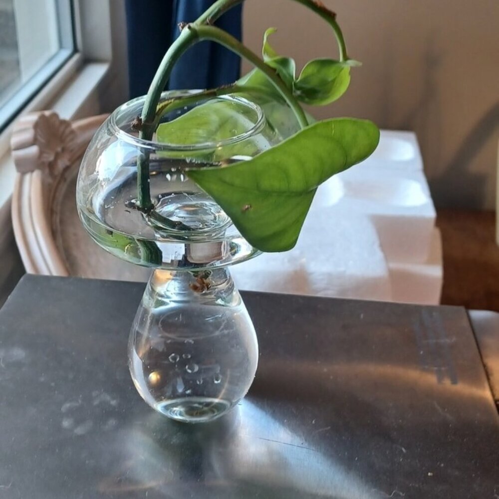 Glass Mushroom Progating Vase